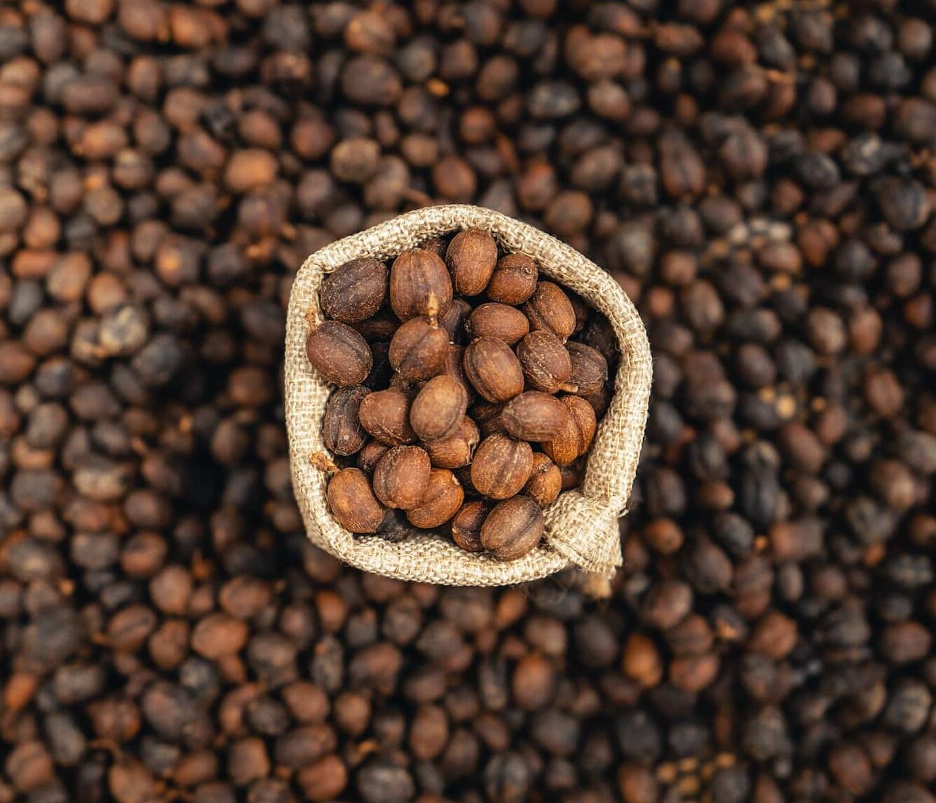 coffee-beans-are-dried-in-the-greenhouse--e1680683667760.jpg